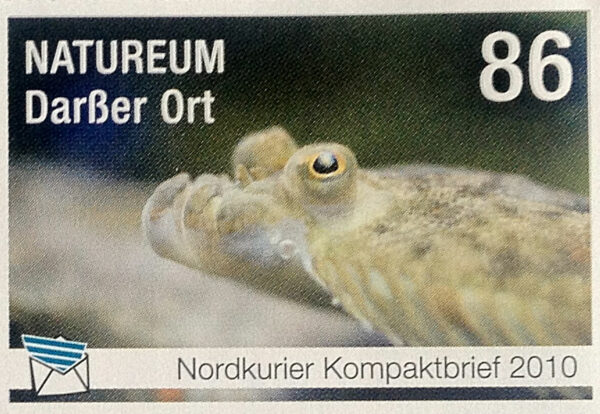 60 Jahre Deutsches Meeresmuseum Stralsund